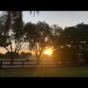 Meet your Posher, Suzanne